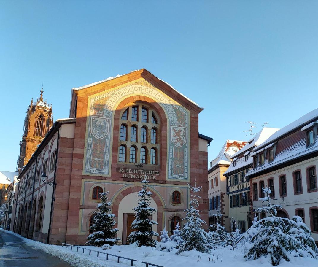 La Maison Bleue, A 20 Mn De Strasbourg, Sur La Route Des Vins, Jusqu'A 6 Personnes, Селеста Экстерьер фото